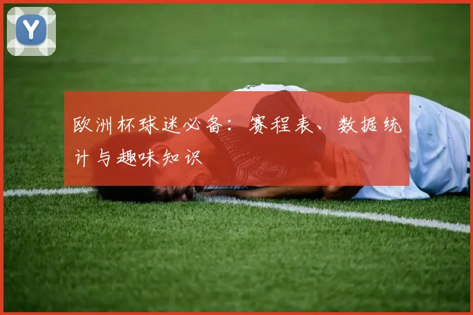 欧洲杯球迷必备：赛程表、数据统计与趣味知识