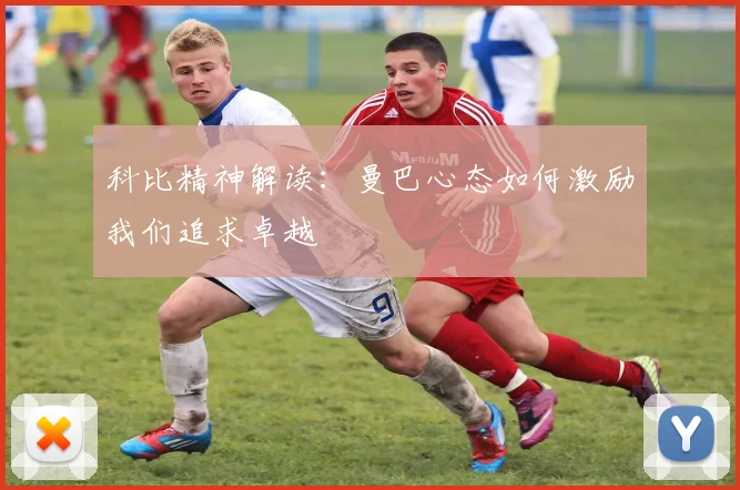 科比精神解读：曼巴心态如何激励我们追求卓越